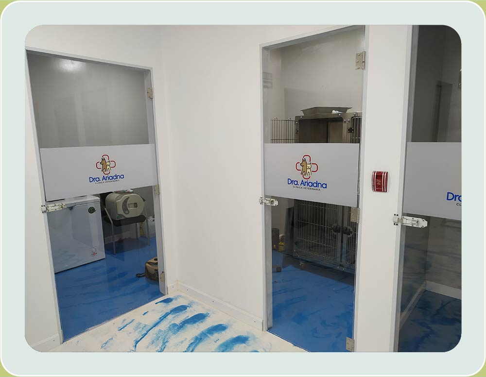 Hospital