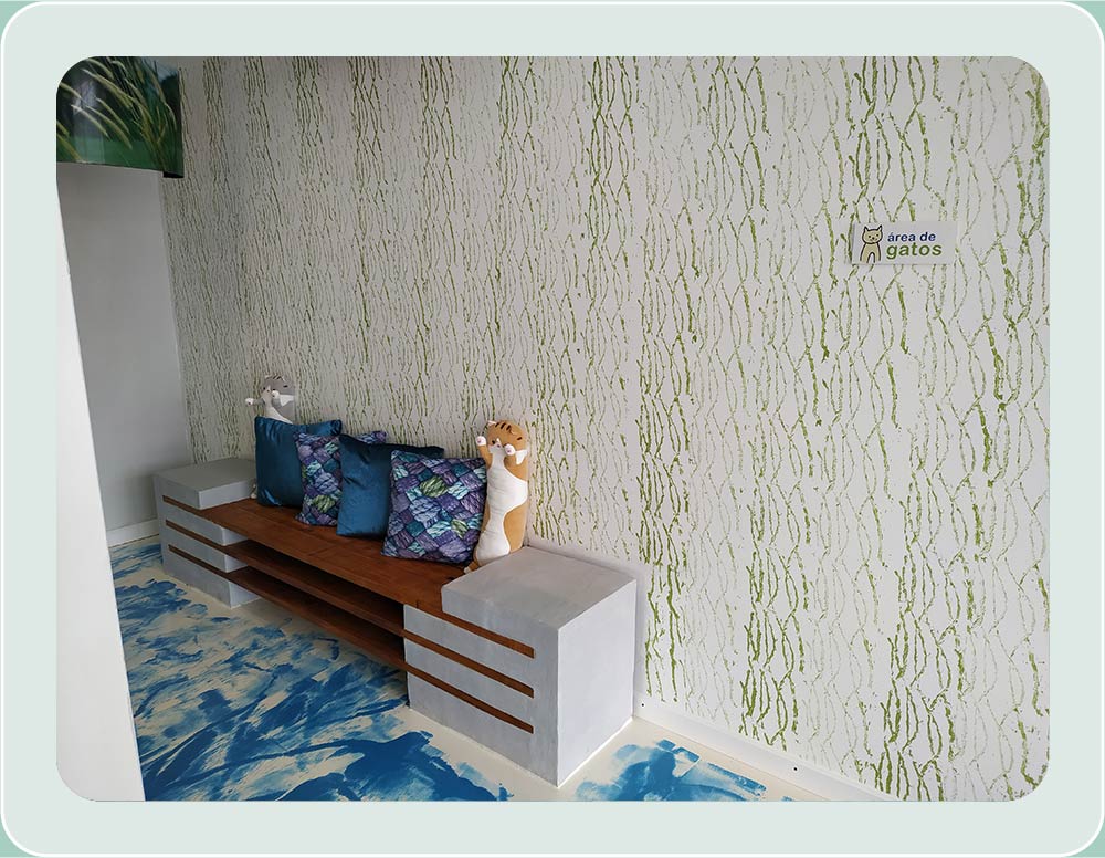 Sala de espera gatos