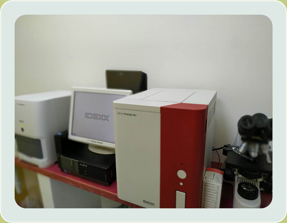 Equipos de laboratorio IDEXX