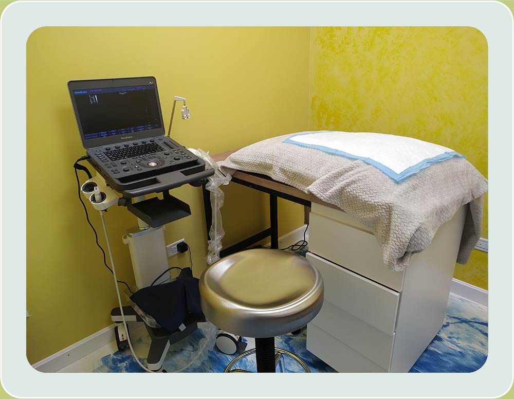 Ultrasonido con Color Doppler